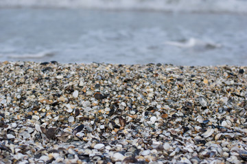 Calms of the ocean beach 