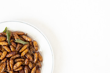 Top view of Fried insects in dish on white background. copy space