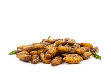 Close up of fried insects on a white background