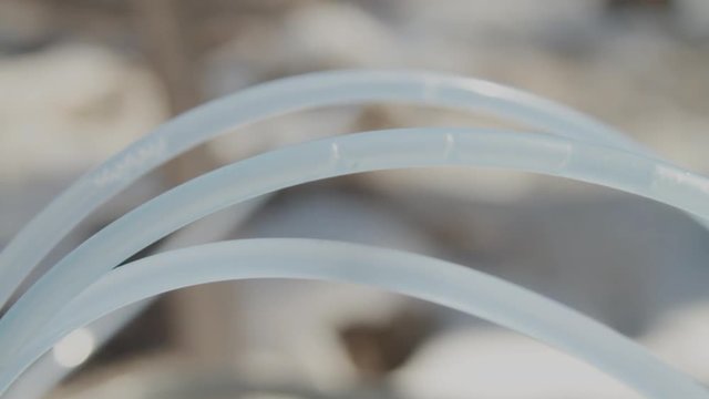 Closeup of plastic tubes collecting maple sap into a large tote to create maple syrup.