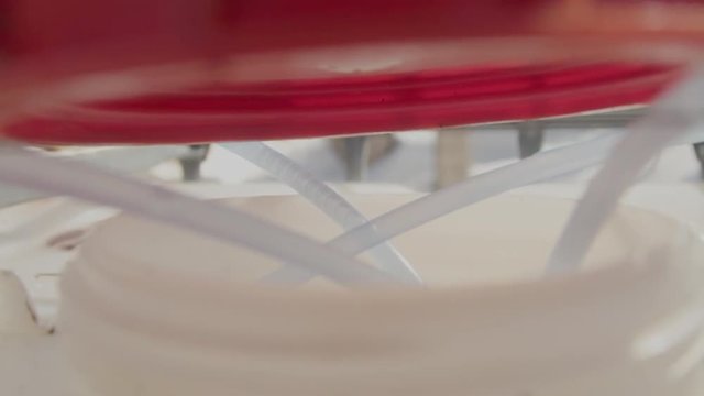 Slow motion, handheld closeup of maple sap collecting in a large tote from plastic tubes.