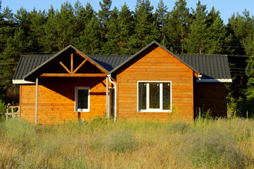 Obraz premium Wooden House In Countryside. Ecological Small Wooden House. Wooden House With Meadow In Front Of It. Beautiful Modern Wooden House, Front Elevation. Front View. 