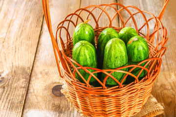 Fresh cucumbers with a leaf on an old wooden table.