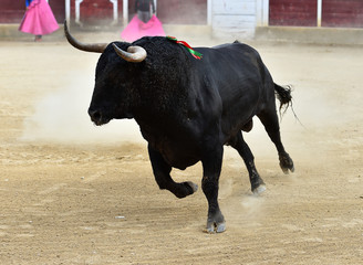 toro