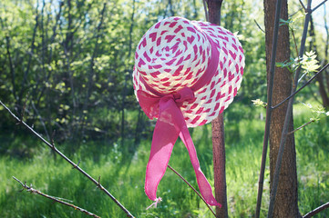 The straw hat on green bush.