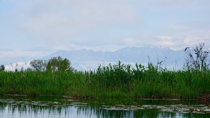 Dal See Landschaft in Kashmir, Indien 