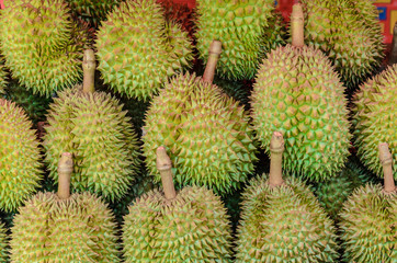 Durian is fresh,king of fruit from Thailand,Group of durian in the market.