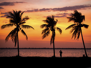 Fototapeta na wymiar Sunset and Palm Trees