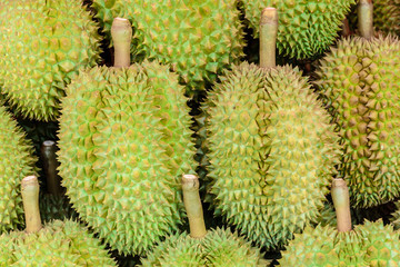 Durian is fresh,king of fruit from Thailand,Group of durian in the market.