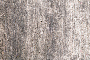 Fototapeta premium Wooden texture. background
