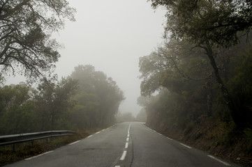 The road goes into the fog.