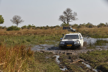 Obraz na płótnie Canvas Geländewagen bei Flußdurchquerung, weißer Geländewagen, Wasserstelle,Botswana Namibia Simbabwe, 2 Geländewagen, safari