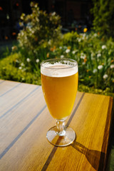 One cold light unfiltered beer in glass served on sunny outdoor terrace in garden