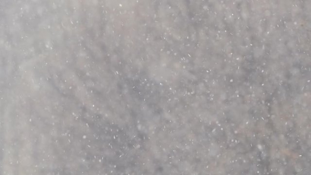 snowflakes in high mountain