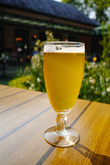 One cold light unfiltered beer in glass served on sunny outdoor terrace in garden