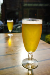 One cold light unfiltered beer in glass served on sunny outdoor terrace in garden