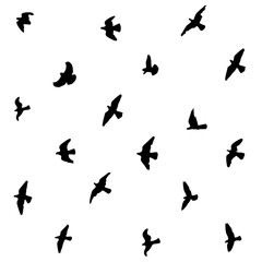 flying pigeons silhouettes seamless black and white background