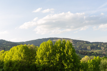 Fototapeta premium Spring meadow in mountains. Bright alpine landscape with blue sky. White clouds and bright sun in blue sky.