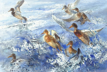 a flock of ducks in the sea splatter watercolor background