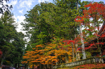 autumn foliage in Nikko Shoyoen garden at nikko in japan