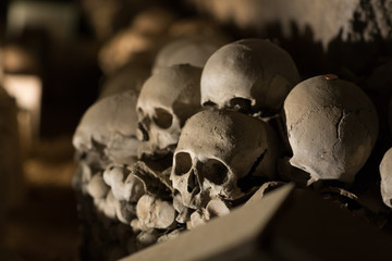 Skull and bones