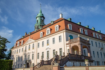 Fototapeta na wymiar Schloss Lichtenwalde Sachsen