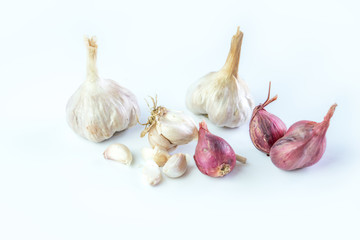 Herbs are pungent for cooking on white background.