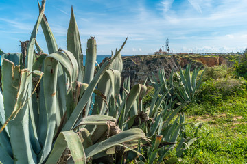 View to lighthouse on Ponta da Piedade in Lagos, Algarve, Portugal