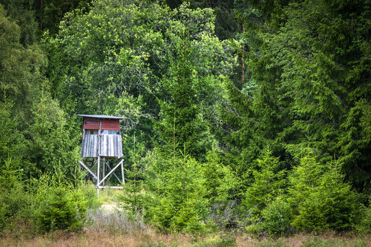 Wooden hunting tower in a green forest