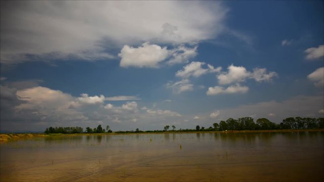 Beautiful landscape, pure nature, and water