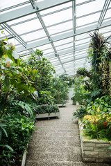 Beautiful public greenhouse.