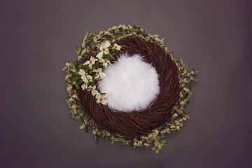 cozy fantasy nest with soft bedding and decorative white flowers on gray background