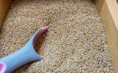 Fresh sesame seeds sold at local city market