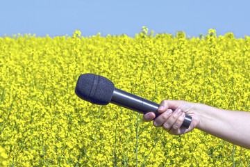wireless radio microphone in hand on a background of yellow rape flowers and blue sky
