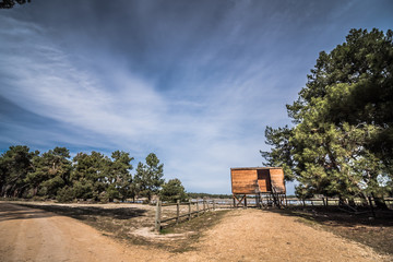 Mirador de pájaros