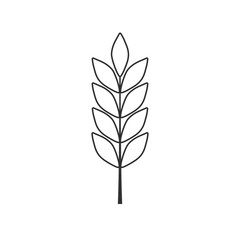 Barley or wheat icon in black flat outline design