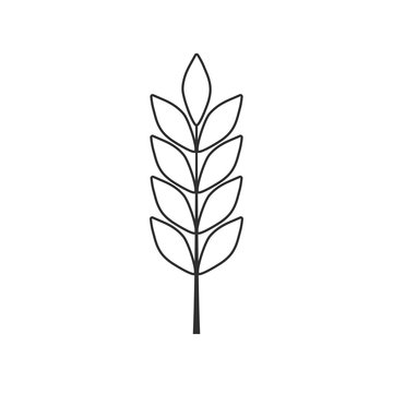 Barley or wheat icon in black flat outline design