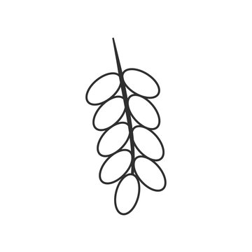 recommend clip art: Branch of date palm fruit icon in black flat outline design