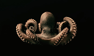 Krake Octopus Tentakel Seafood © sko