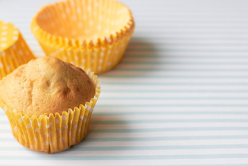  Muffins on a blue background.