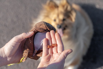 A dog owner plays with his dog