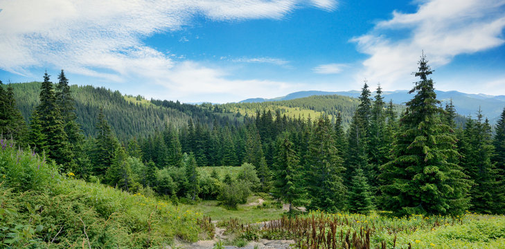 Picturesque landscape in Carpathians.
