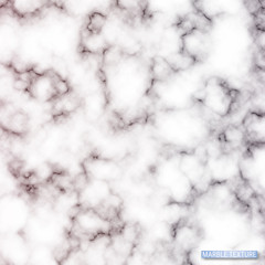 Vector background. Detailed image of light marble. Texture of a noble stone for decoration of wedding invitations, postcards, brochures, business cards, banners, web sites. Fashionable modern pattern.