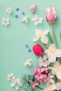 Fototapeta beautiful spring flowers on paper background