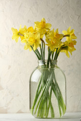Fresh narcissus in glass jar