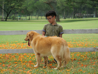 Asian boy playing with puppy dog golden retreiver in park