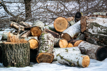 Photo of the wooden logs for bonfire or fireplace