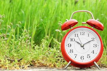 Alarm clock near green grass, outdoors. Time change concept