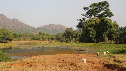 Cote d Ivoire Campagne