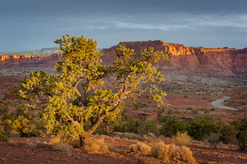 Capitol Reef National Park Viewpoint. The Panorama Viewpoint along highway 24 is a   perfect spot for both daytime photo opportunities and for night sky watching and star gazing.